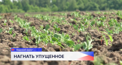 Половина запланированных гектаров засеяна в Вадском округе Нижегородской области