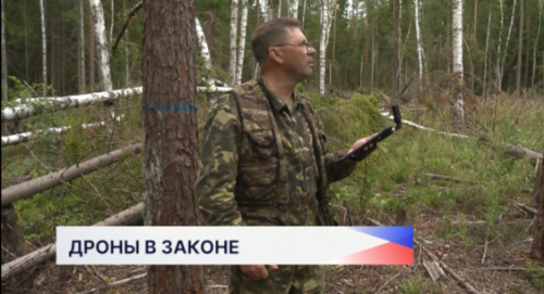 Депутаты предложили упростить закупку и обслуживание дронов для лесного хозяйства
