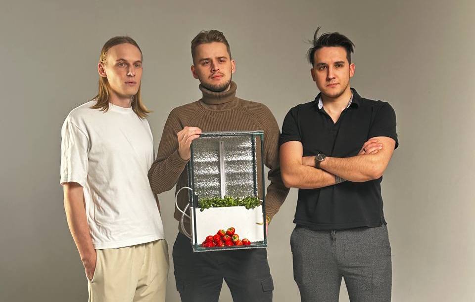 Инновационная технология нижегородцев позволит снабдить регион свежими овощами даже зимой