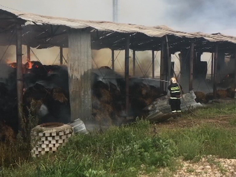 Ангар с сеном полностью выгорел в Кстовском районе Ангар с сеном полностью выгорел в Кстовском районе