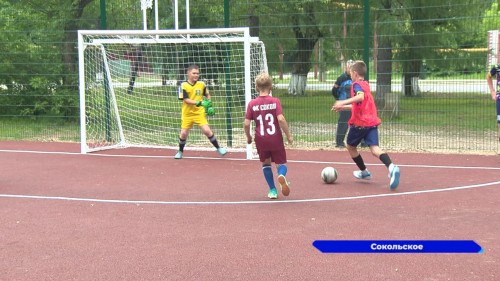В Сокольском построили новую спортплощадку