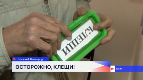 Больше 2,8 тысяч нижегородцев обратились в медучреждения с жалобами на укус клеща