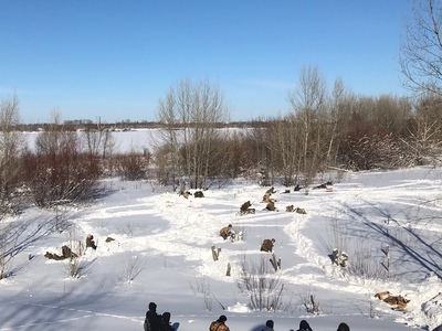 В Нижнем Новгороде прошли мероприятия, посвященные Дню защитника Отечества