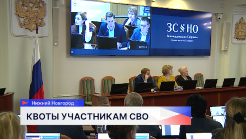 Депутаты регионального парламента обсудили проект закона о помощи в трудоустройстве участникам СВО