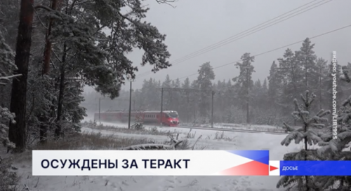 Подростков, устроивших диверсии на железной дороге, отправят в воспитательную колонию