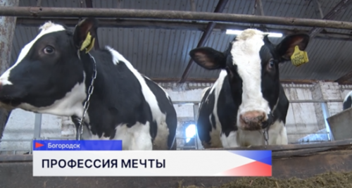 Оператор животноводческого комплекса на Лакшинской ферме рассказал о своей работе