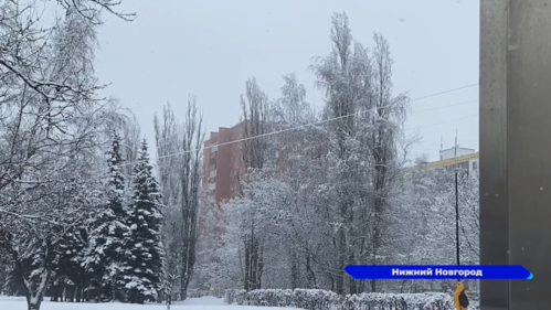 Гололед и мокрый снег ожидается в регионе сегодня