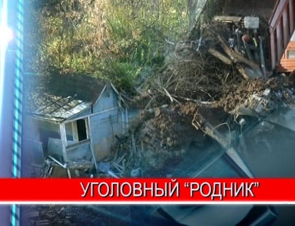 В прокуратуре обосновали арест по делу о гигантских свалках и уничтожении имущества в "Роднике" и "Металлисте" В прокуратуре обосновали арест по делу о гигантских свалках и уничтожении имущества в "Роднике" и "Металлисте"