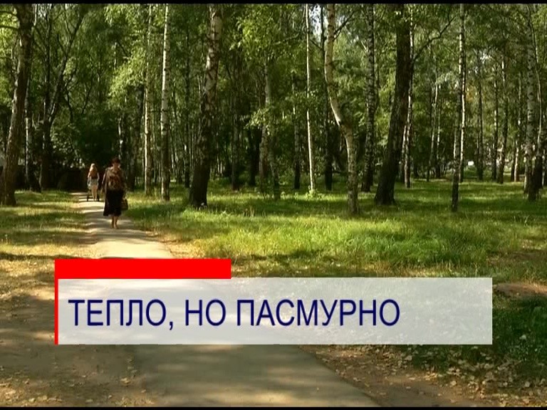 Теплая, но пасмурная погода ожидает нижегородцев на этой неделе Теплая, но пасмурная погода ожидает нижегородцев на этой неделе