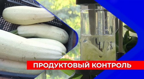 От кабачков и до арбузов: Нижегородская испытательная лаборатория проверила сезонные продукты