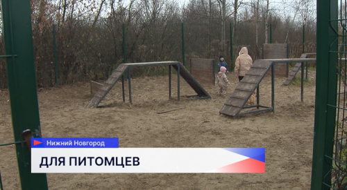 Социальные участковые посодействовали созданию площадки для выгула собак на улице Космической