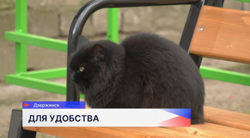 В Дзержинске по программе «Формирование комфортной городской среды» в 2025 году обновили 15 дворов