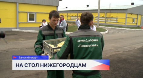 Открытие нового птицеводческого комплекса прошло в Вачском округе Нижегородской области