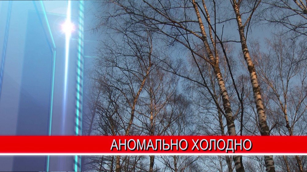В ближайшие дни среднесуточная температура воздуха будет на 7-10 градусов ниже климатической нормы В ближайшие дни среднесуточная температура воздуха будет на 7-10 градусов ниже климатической нормы