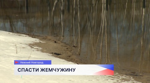 Тревожный сигнал от жителей Сормова: жемчужина района – озеро Светлоярское – оказалась под угрозой засухи