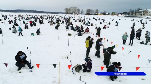 В Нижегородской области прошел юбилейный 15-й фестиваль «Чкаловская рыбалка»