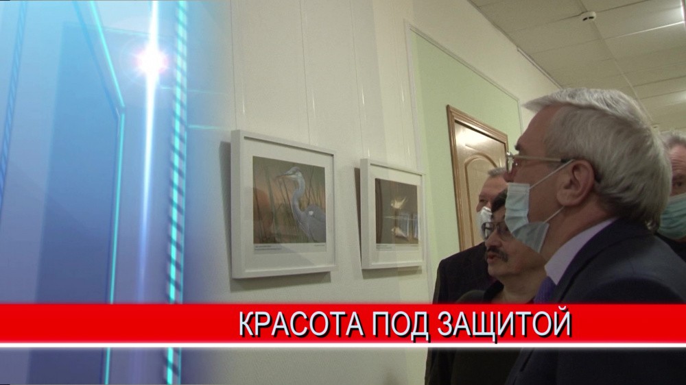 Как сохранить красоту и природное богатство Артёмовских лугов - обсудили депутаты Законодательного собрания Как сохранить красоту и природное богатство Артёмовских лугов - обсудили депутаты Законодательного собрания