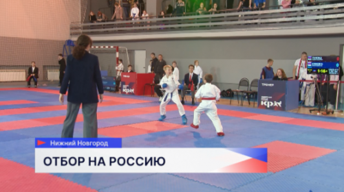Финальный этап отбора на Первенство России по каратэ состоялся в Нижегородской области