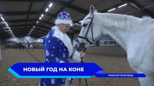 В новый год на коне въезжают спортсмены из КСК «Пассаж»