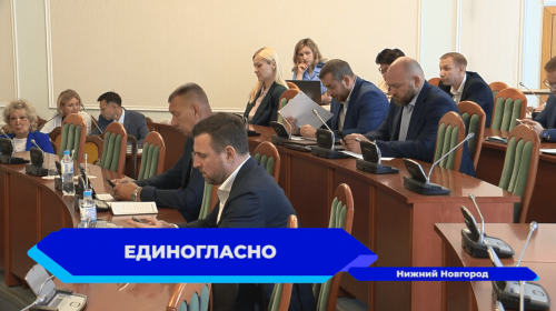 Депутаты Законодательного Собрания обсудили запрет на пропаганду «чайлдфри»