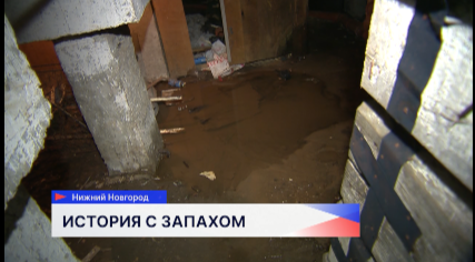 Жители дома на улице Васюнина жалуются на протечки в подвале