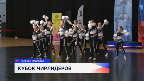 Состоялся 15-й Кубок Нижегородской области по чир спорту