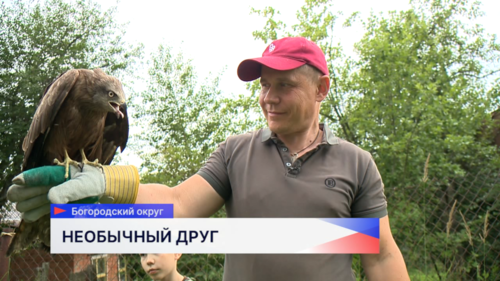 Нижегородец приютил дикую птицу