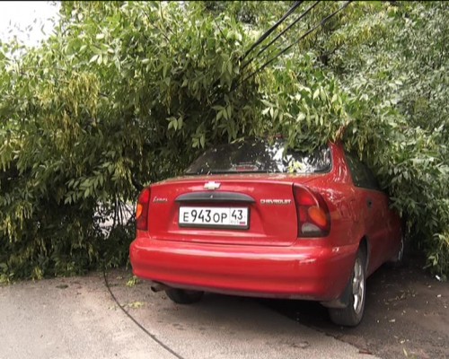 Тополь упал на припаркованный автомобиль и перекрыл дорогу на проспекте Гагарина