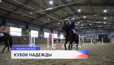 Мастерство преодоления препятствий показали участники соревнований по конкуру