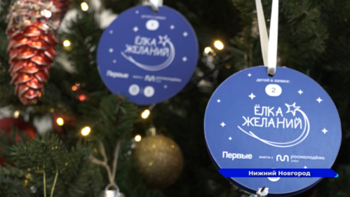 Депутаты Законодательного собрания исполнят новогодние желания детей региона