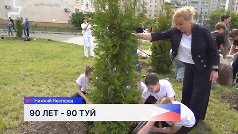 Сквер имени Луначарского в Ленинском районе украсили 90 туй  