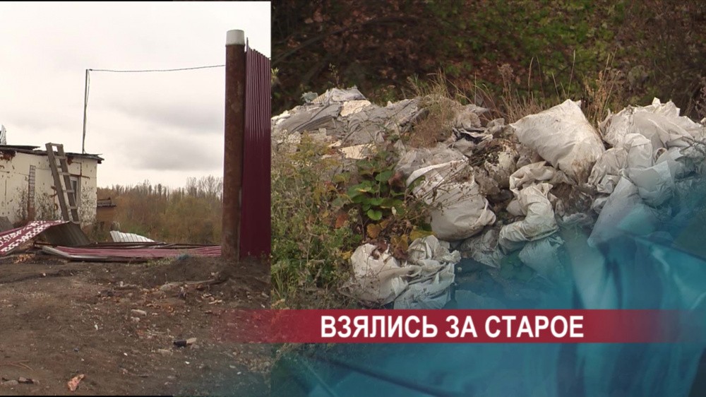 «Сначала крышевали одни, теперь — другие»: на берегу Оки возобновили нелегальную свалку «Сначала крышевали одни, теперь — другие»: на берегу Оки возобновили нелегальную свалку