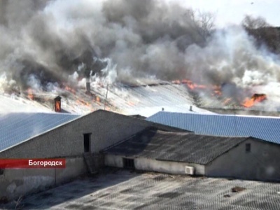 Кожевенный завод тушат в Богородске