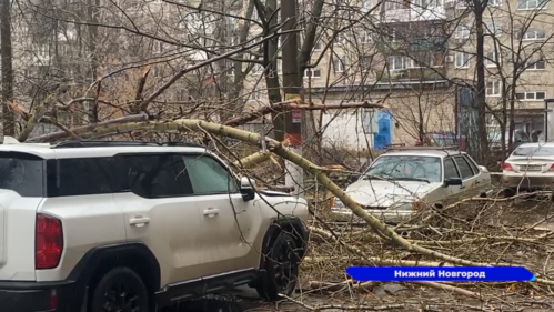От последствий непогоды оправляется Нижегородская область