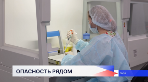 Шесть человек в Нижегородской области заразились болезнью Лайма после укусов клещей