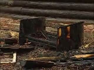 Несколько щенков сгорели заживо в деревянном доме в Сормовском районе