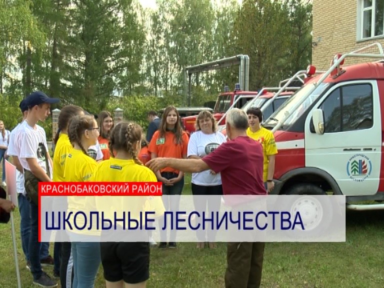 Лучшего юного лесного пожарного выбрали в Нижегородской области