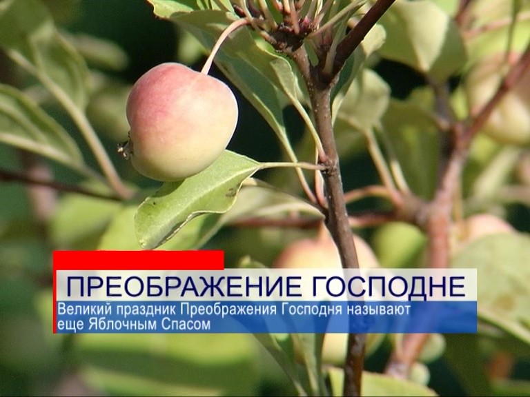Православные христиане празднуют сегодня Преображение Господне Православные христиане празднуют сегодня Преображение Господне