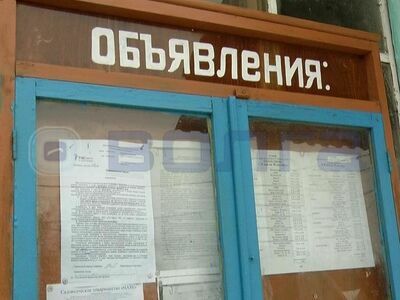 Жители садоводческого товарищества "Маяк" в Нижнем Новгороде остались без электричества