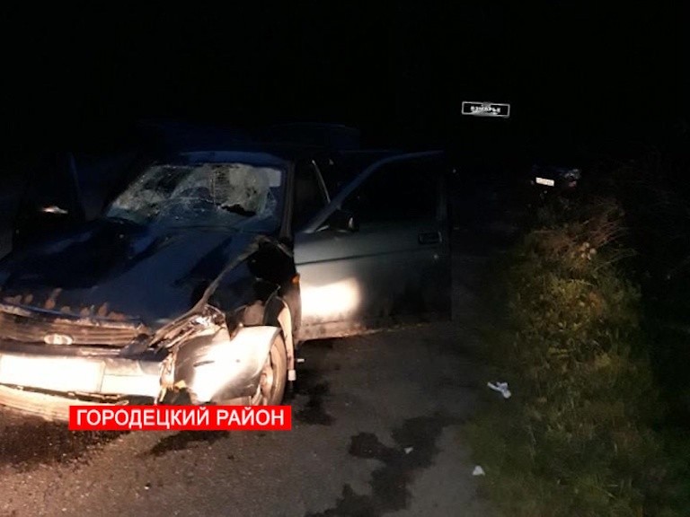 21-летний водитель въехал в группу людей в Городецком районе 21-летний водитель въехал в группу людей в Городецком районе