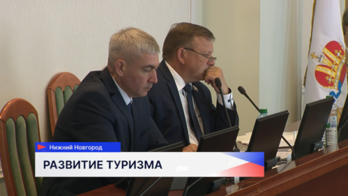 Депутаты Законодательного Собрания Нижегородской области подготовили обращение в Госдуму 
