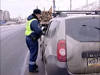 Нижегородские госавтоиспекторы проверили законность перевозки живых елей