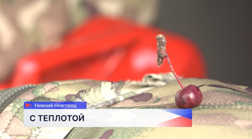 Депутаты ЗСНО отправили гуманитарную помощь в зону СВО