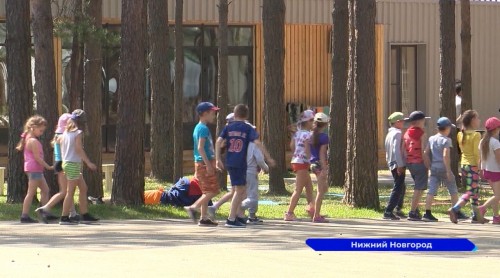 56 эколагерей с дневным пребыванием для детей будет организовано в Нижегородской области в этом году