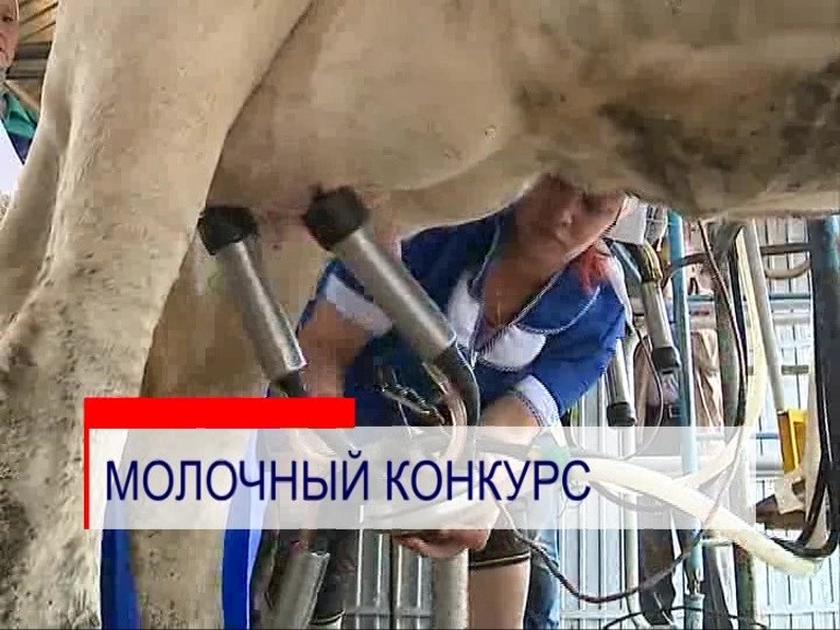 30 нижегородцев принимают участие в региональном конкурсе операторов машинного доения 30 нижегородцев принимают участие в региональном конкурсе операторов машинного доения