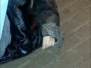 Пожилая женщина погибла под колесами фуры на проспекте Героев