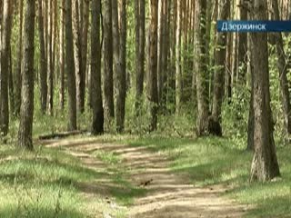 В Дзержинске лесные пожары тушить некому