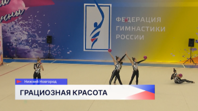 «Кубок Анастасии Максимовой» по художественной гимнастике состоялся в Нижнем Новгороде 