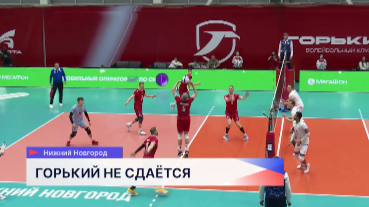 Волейбольный клуб «Горький» обыграл «Динамо-ЛО» из Соснового Бора Ленинградской области