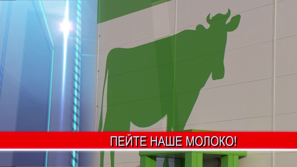 Сельхозпроизводители продолжают наращивать производства молока в регионе Сельхозпроизводители продолжают наращивать производства молока в регионе